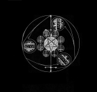 Darkness of Flames Logo